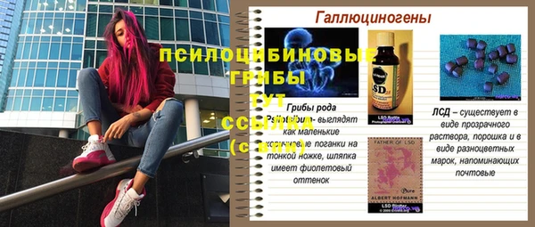 герыч Осинники