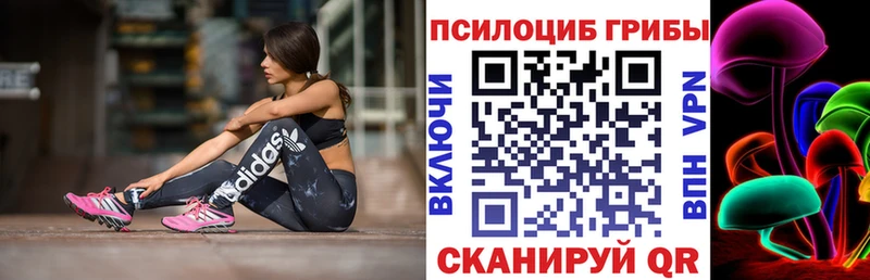 Псилоцибиновые грибы ЛСД дарнет шоп Богородск