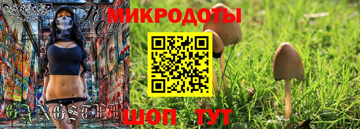 Псилоцибиновые грибы Psilocybine cubensis  Богородск 